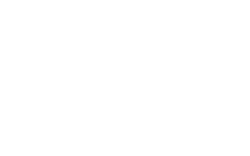 Apuesta en los intensos partidos del Rugby Championship en Betbox.
